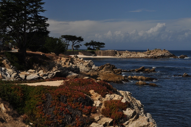 Pacific Grove